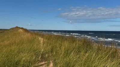 MapleCross – DeRoche Pond Natural Area