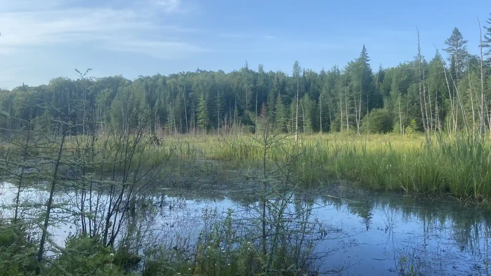 maplecross fraserburg nature reserve