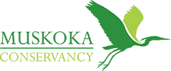muskoka conservancy logo