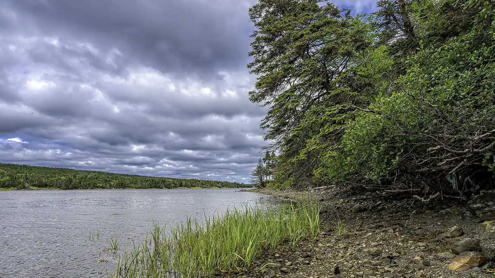 newfoundland and labrador