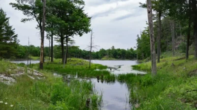 whitefish nature reserve